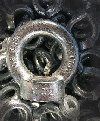 Le vacarme 582 d'acier au carbone a galvanisé l'électro forgé galvanisé par boulons à oeil